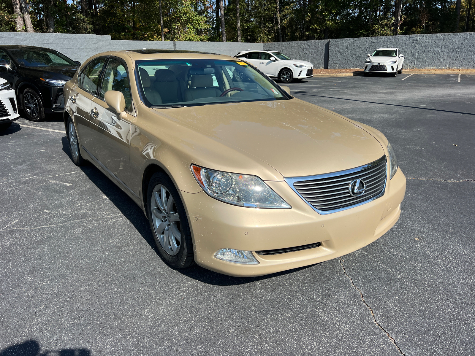 2009 Lexus LS 460  4