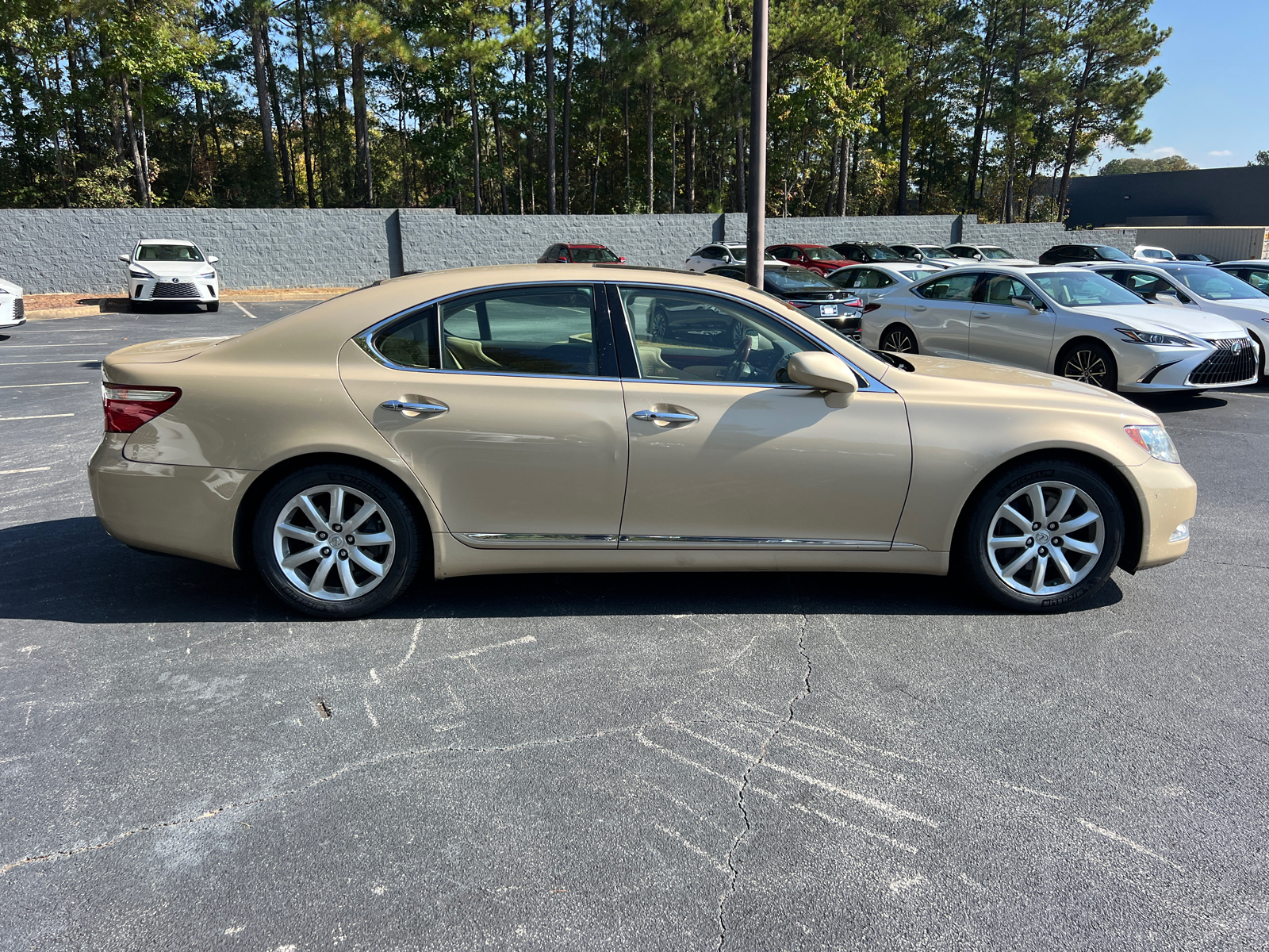 2009 Lexus LS 460  5