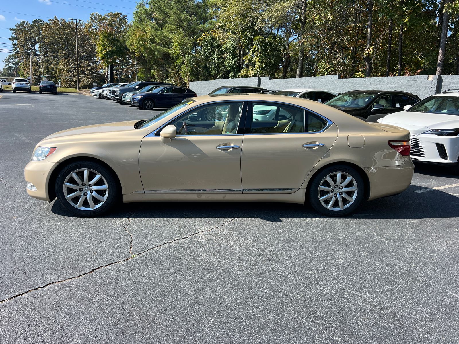 2009 Lexus LS 460  9