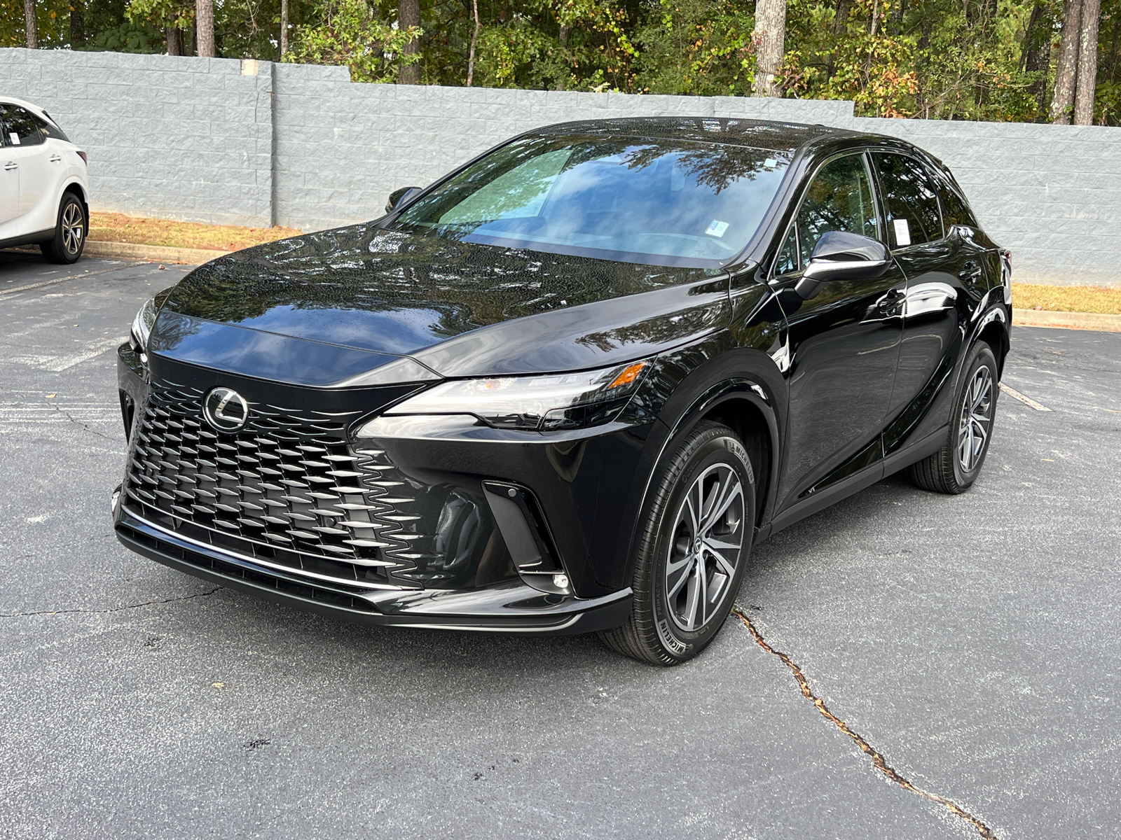 2024 Lexus RX RX 350 2