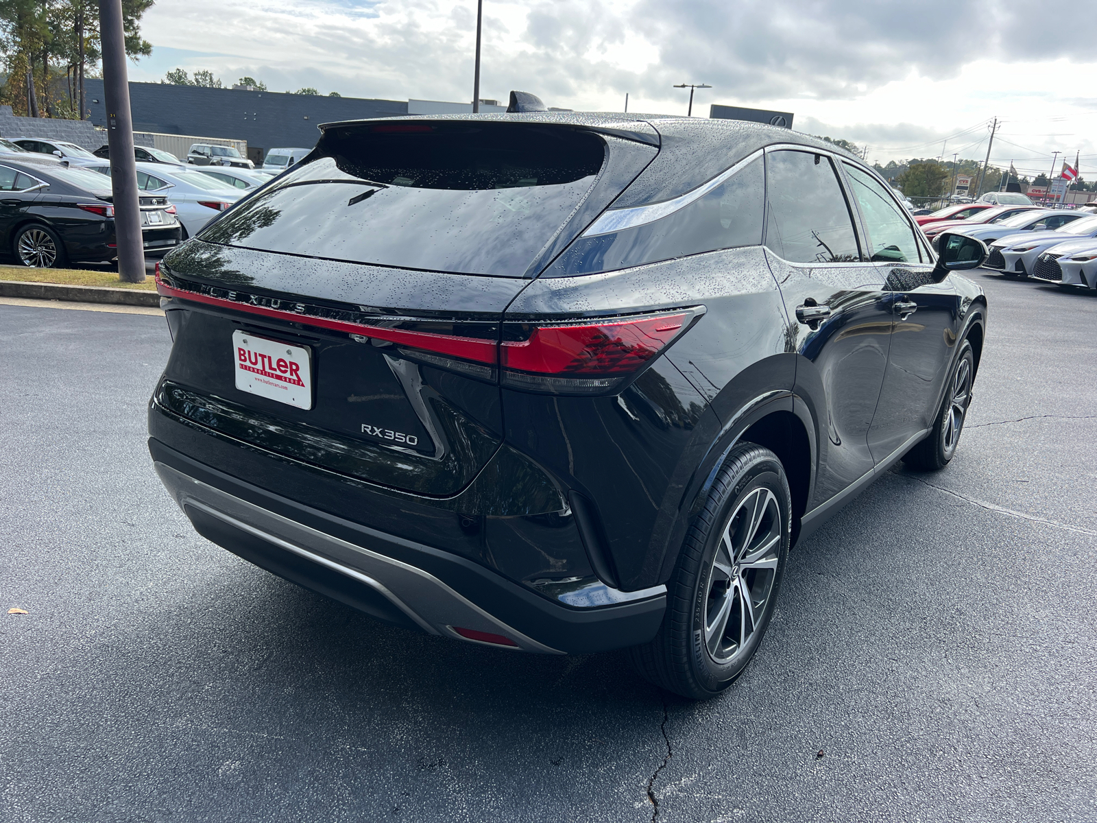 2024 Lexus RX RX 350 6