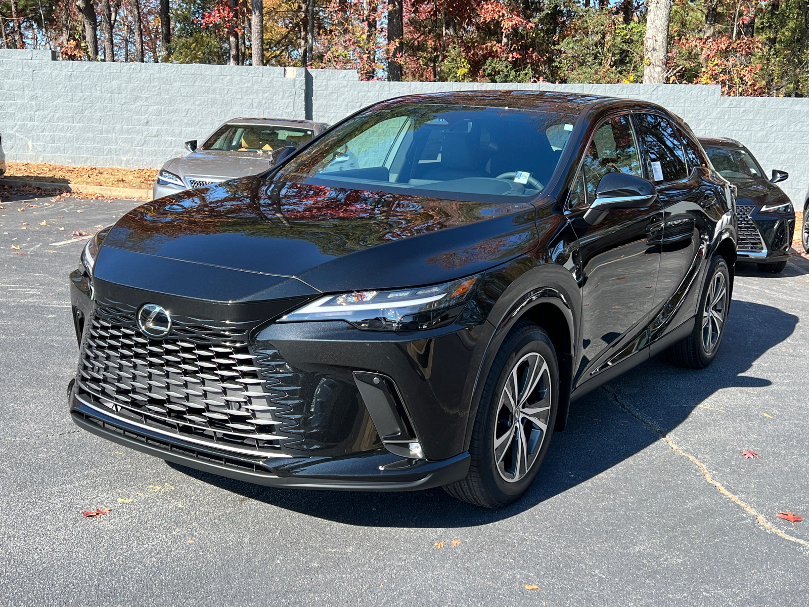 2025 LEXUS RX 350 FWD 2