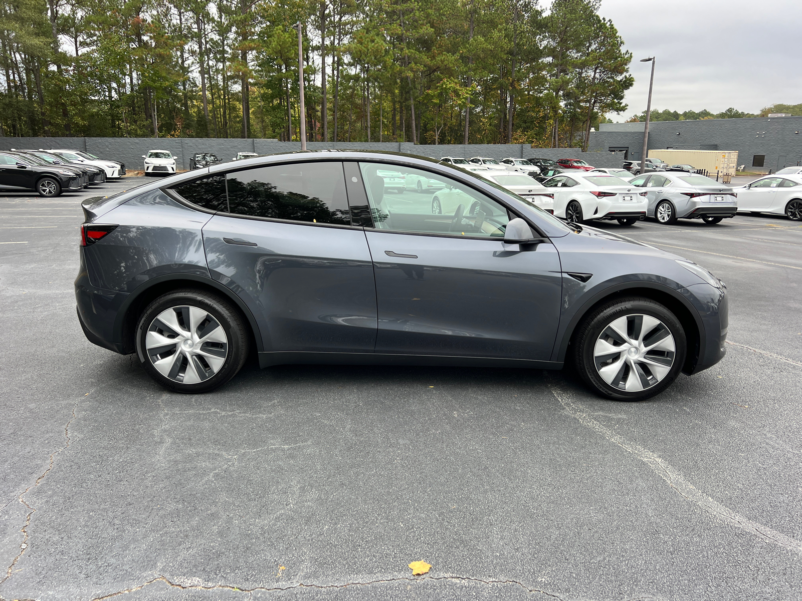 2023 Tesla Model Y  5