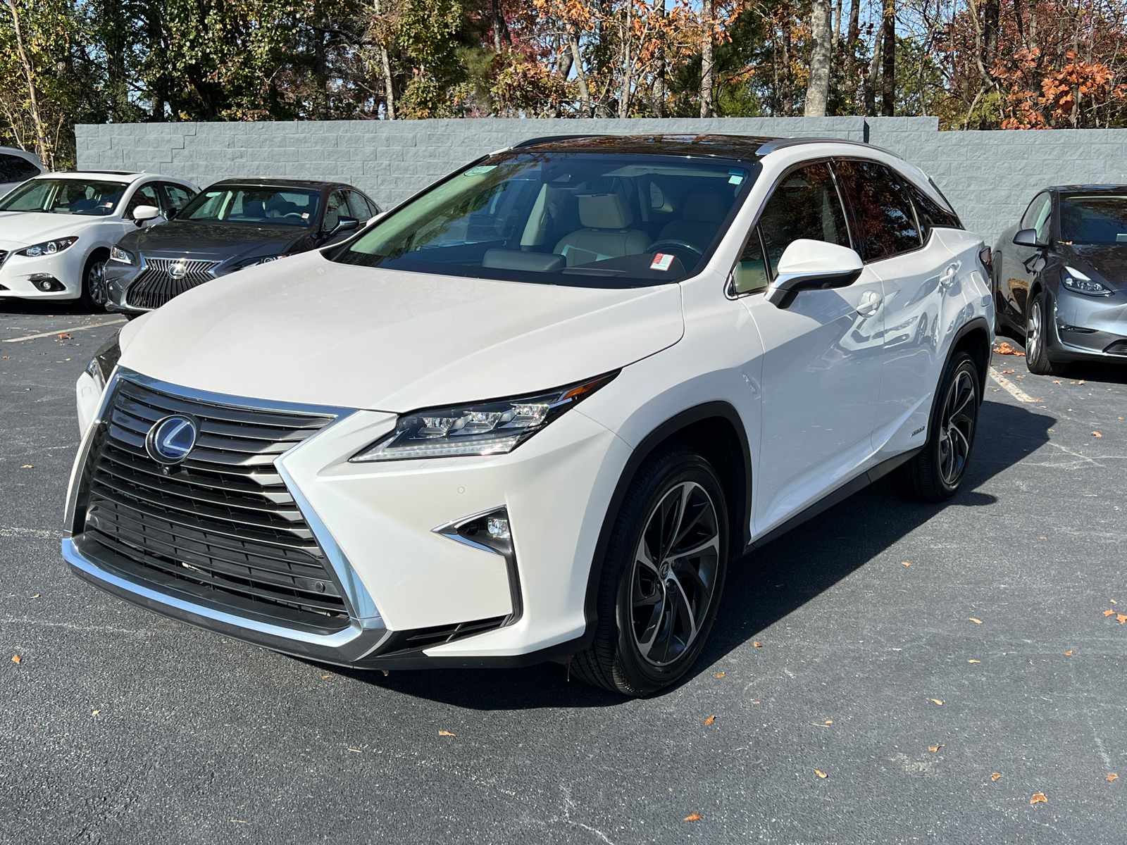 2019 Lexus RX 450h Luxury 2