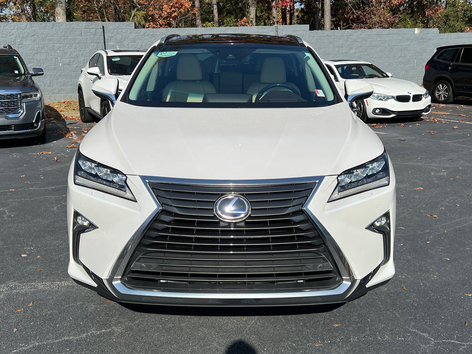 2019 Lexus RX 450h Luxury 3