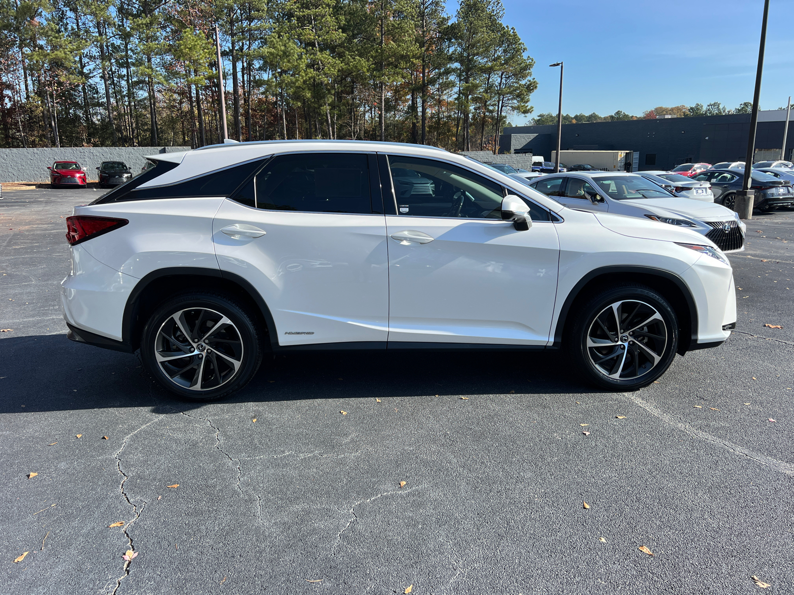 2019 Lexus RX 450h Luxury 5