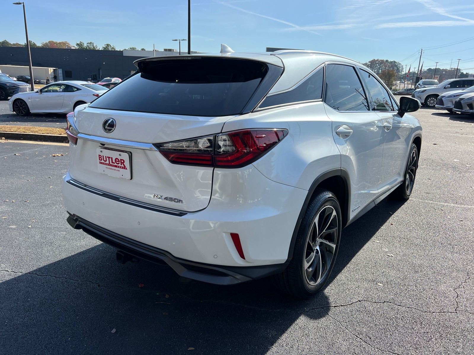 2019 Lexus RX 450h Luxury 6