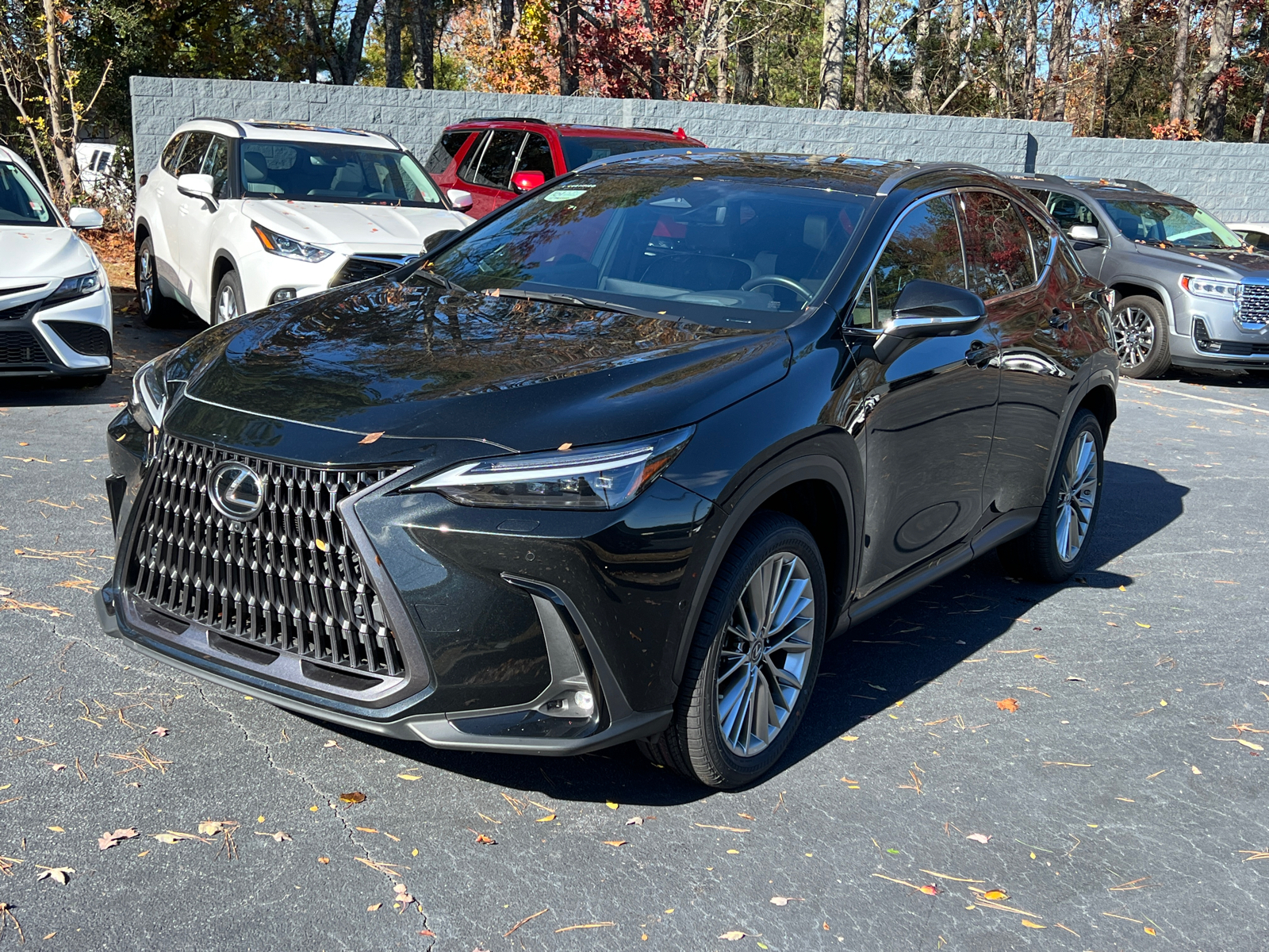 2022 Lexus NX NX 350h Luxury 2