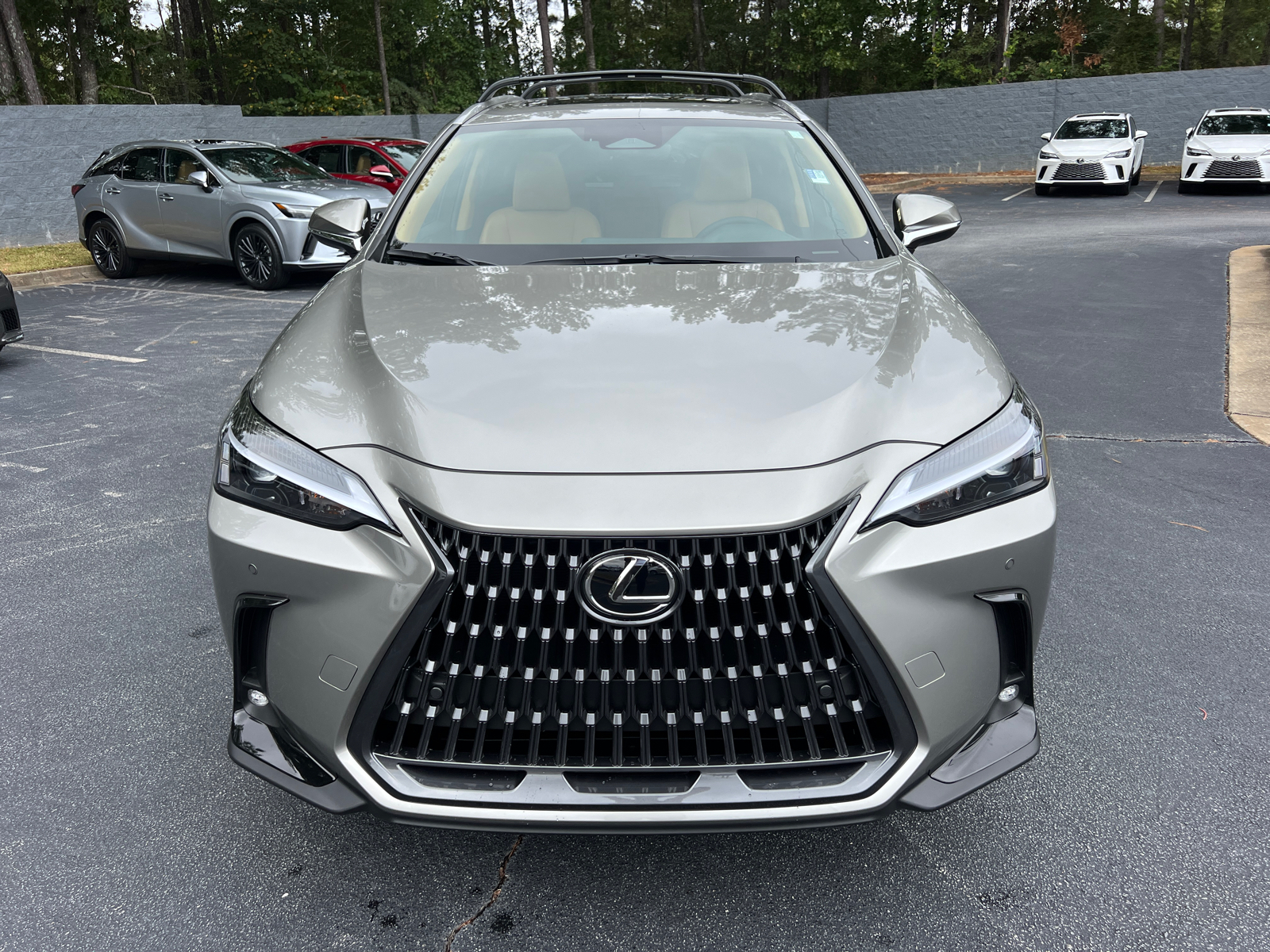 2025 Lexus NX NX 350 Premium 3