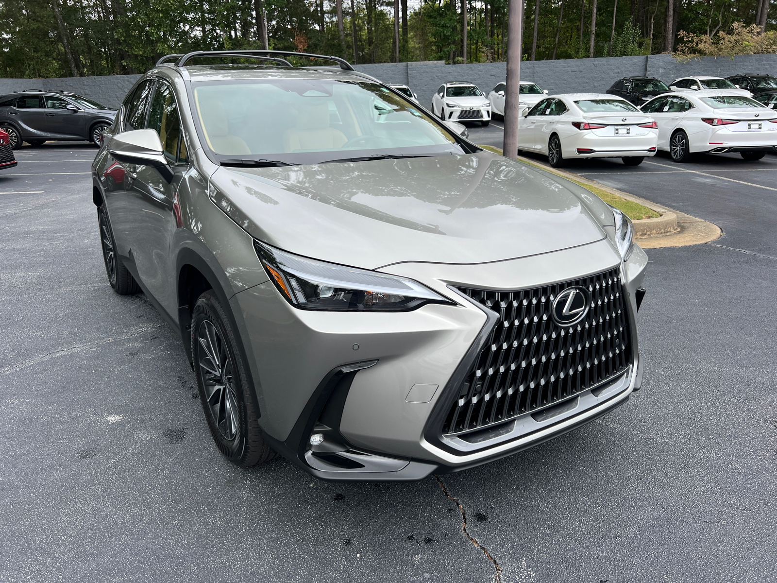 2025 Lexus NX NX 350 Premium 4