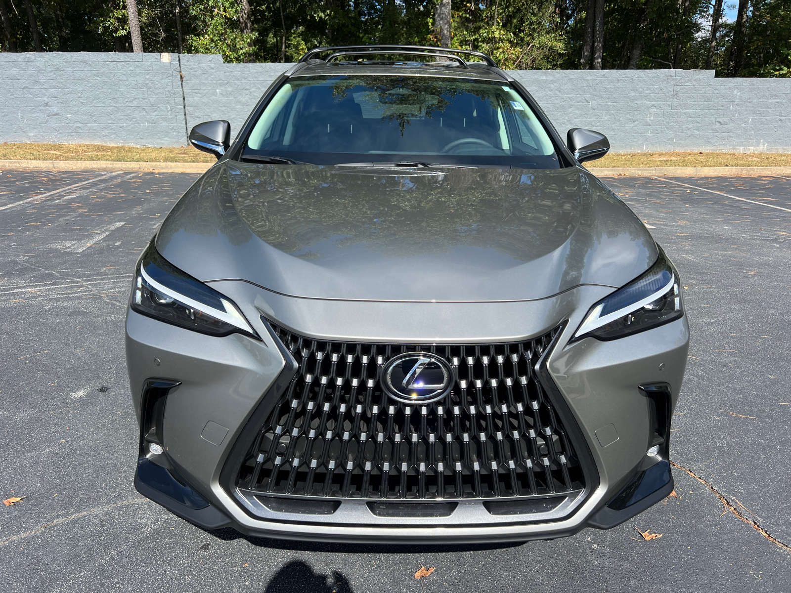 2025 Lexus NX NX 350 Premium 3