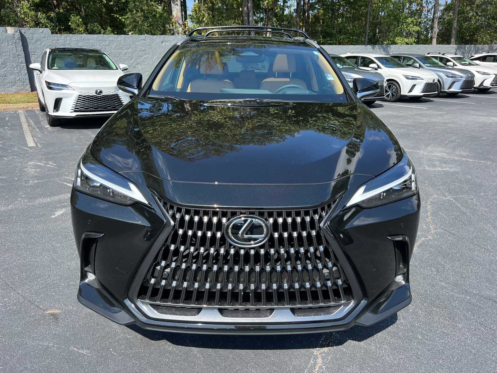 2025 Lexus NX NX 350 Premium 3