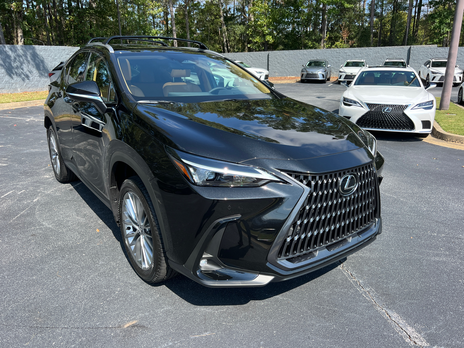 2025 Lexus NX NX 350 Premium 4