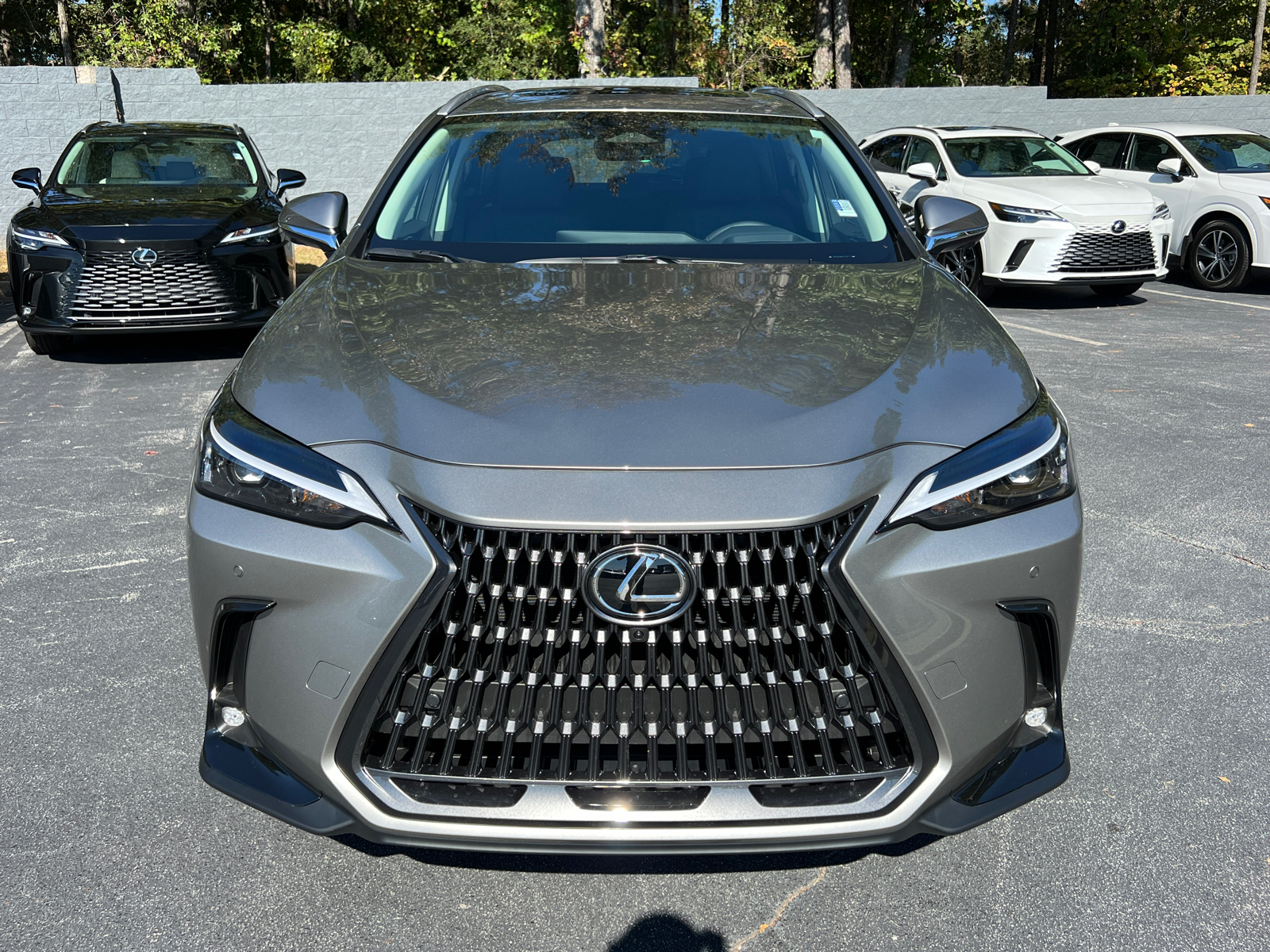 2025 Lexus NX NX 350 Premium 3