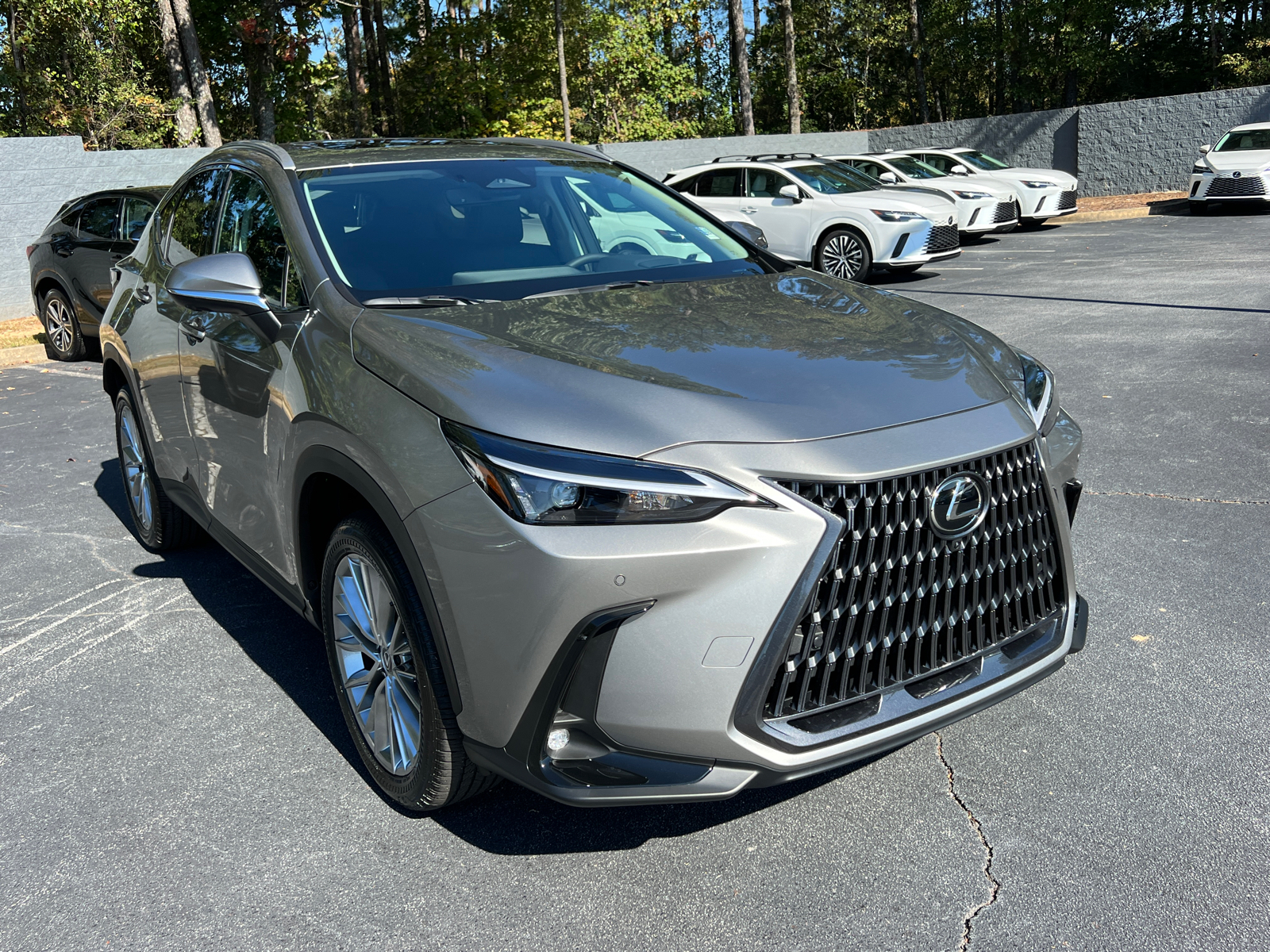 2025 Lexus NX NX 350 Premium 4