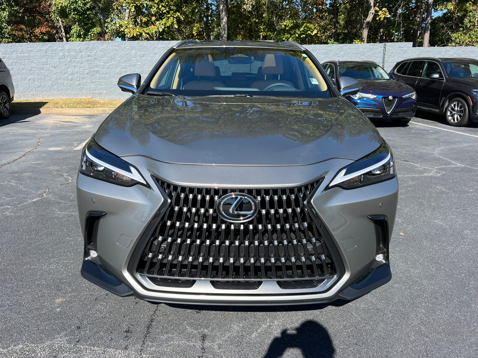 2025 Lexus NX NX 350 Premium 3