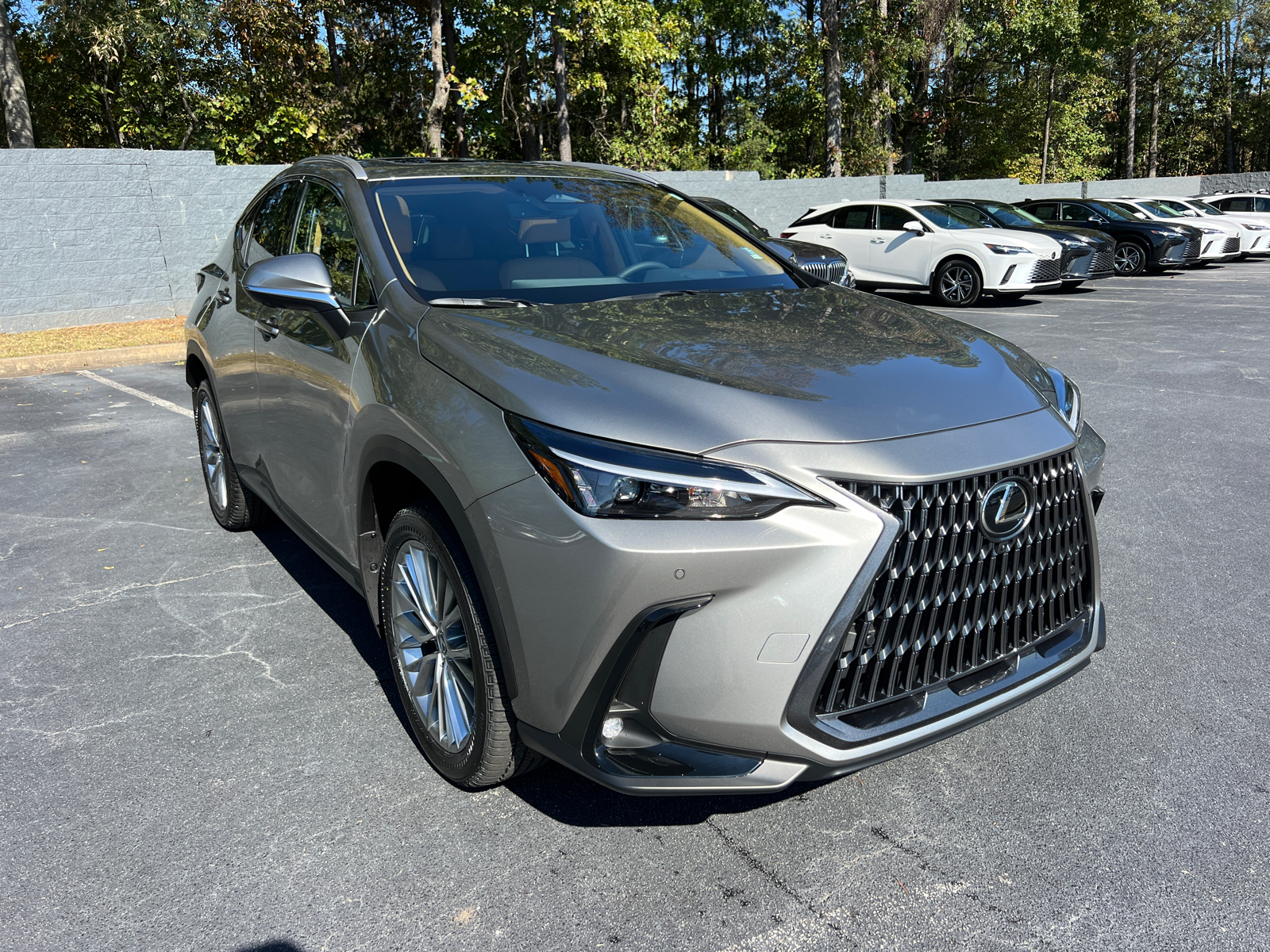 2025 Lexus NX NX 350 Premium 4