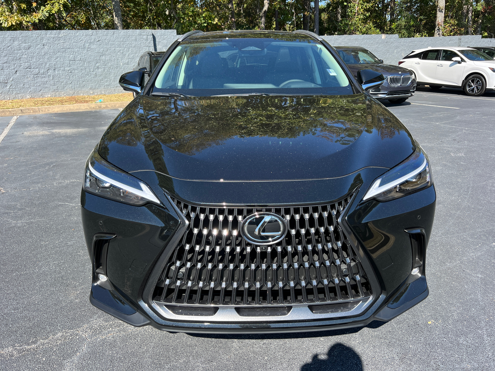 2025 Lexus NX NX 350 Premium 3