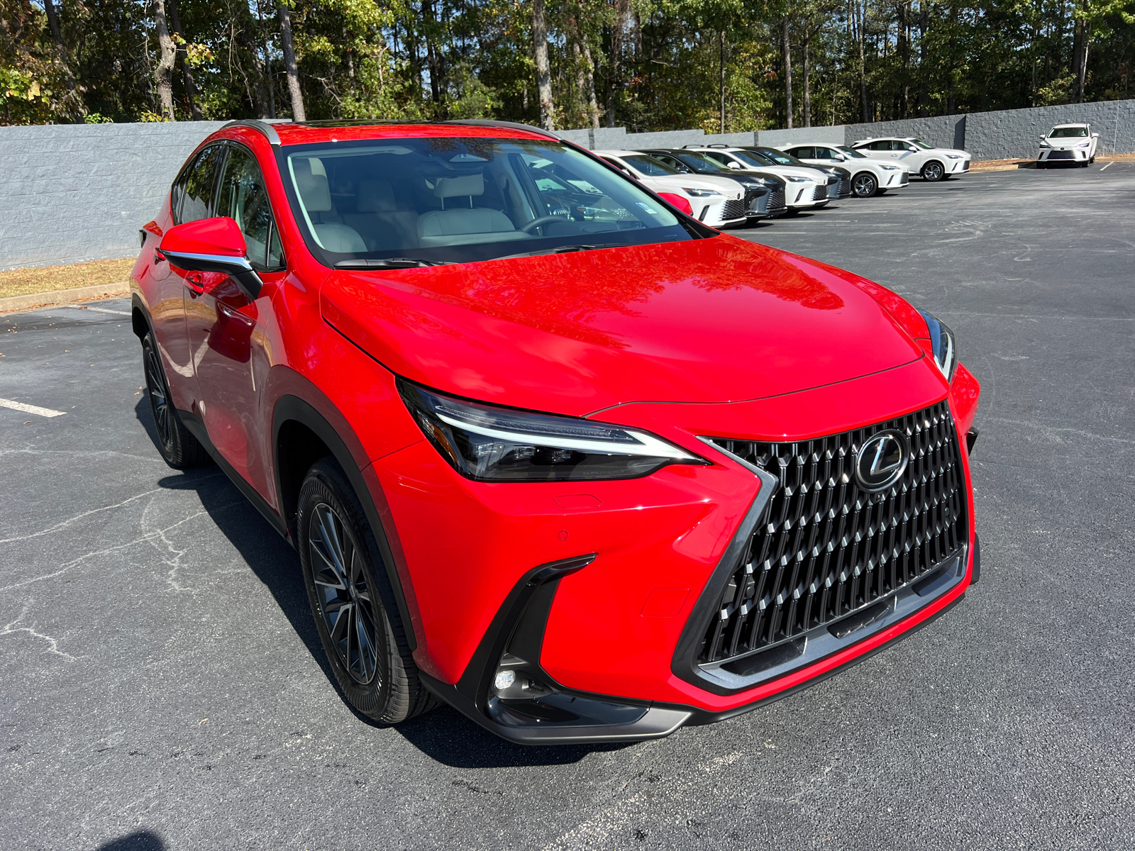 2025 Lexus NX NX 350 Luxury 4