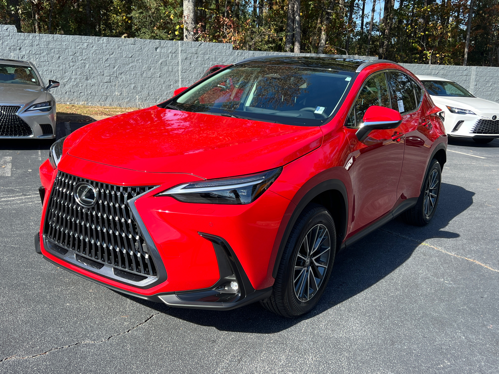 2025 Lexus NX NX 350 Luxury 2