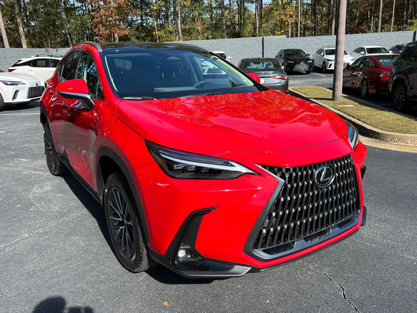 2025 Lexus NX NX 350 Luxury 4