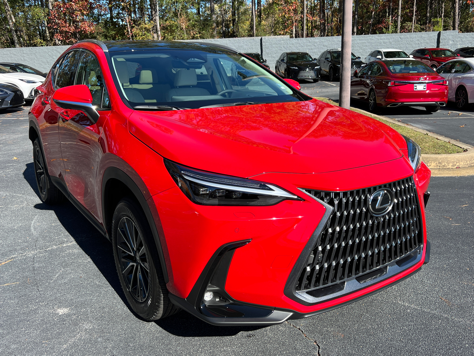 2025 Lexus NX NX 350 Luxury 4