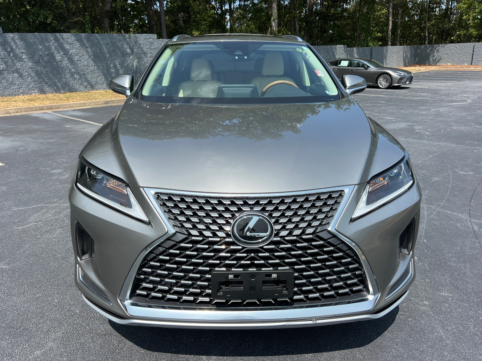 2021 Lexus RX RX 350 3