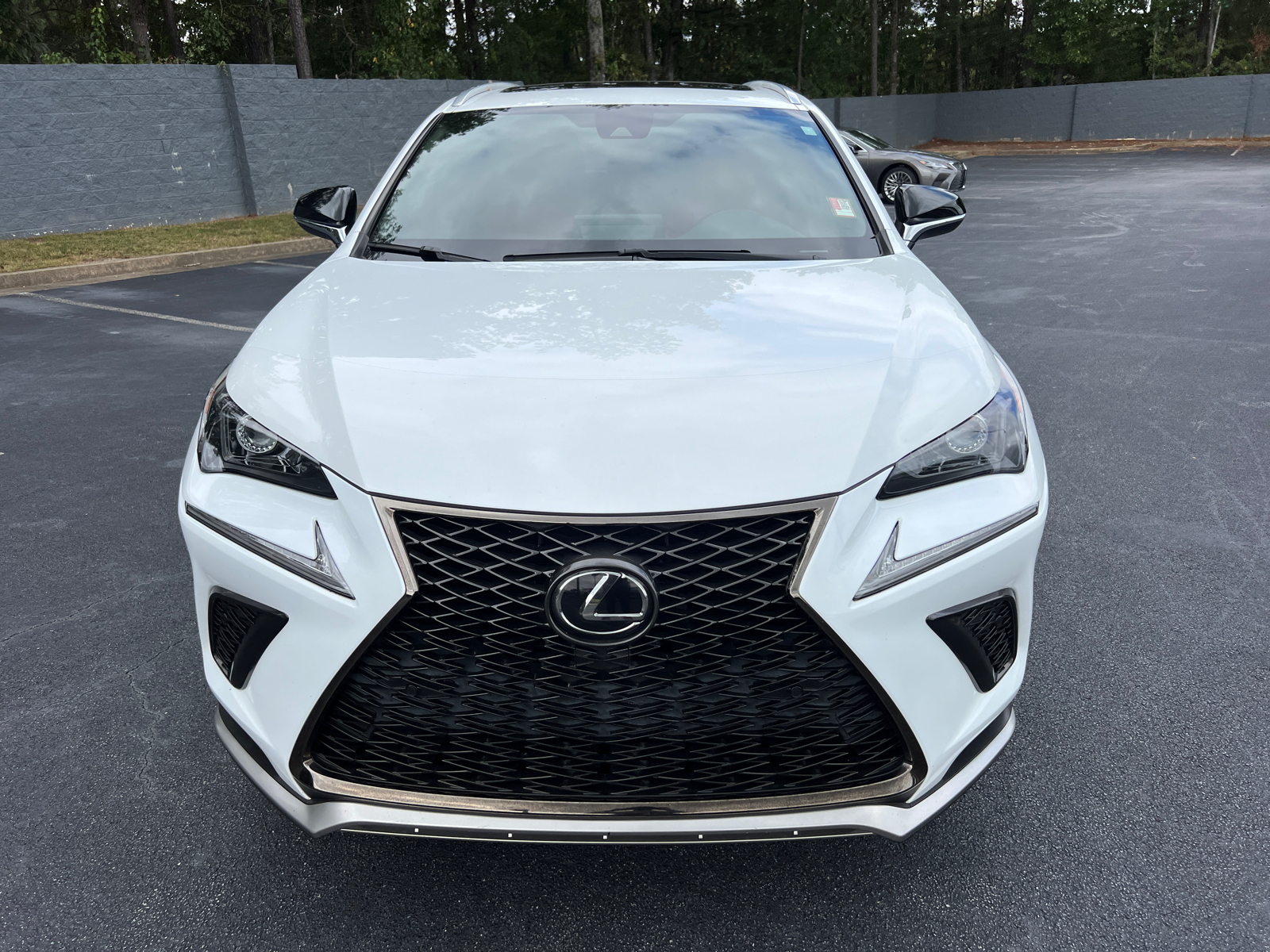 2021 Lexus NX NX 300 F SPORT 3