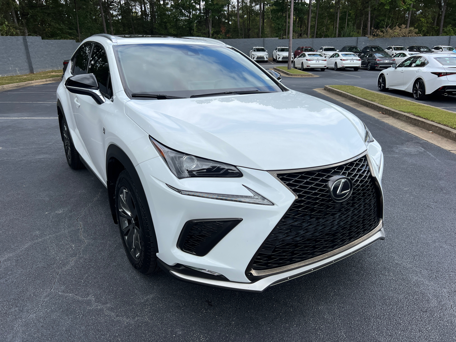 2021 Lexus NX NX 300 F SPORT 4