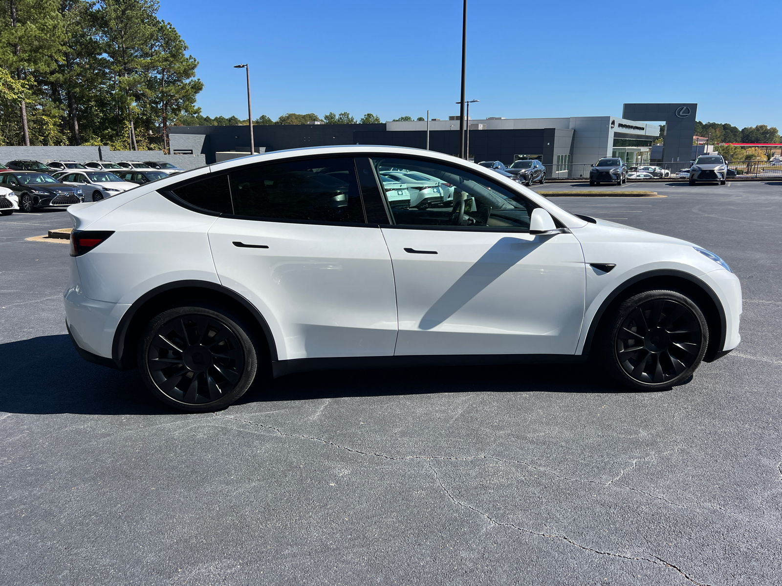 2023 Tesla Model Y Long Range 5