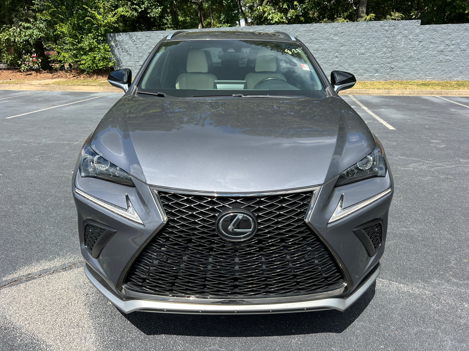 2021 Lexus NX NX 300 F SPORT 3