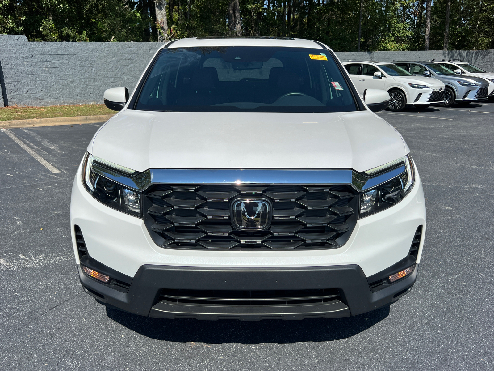 2024 Honda Passport EX-L 3