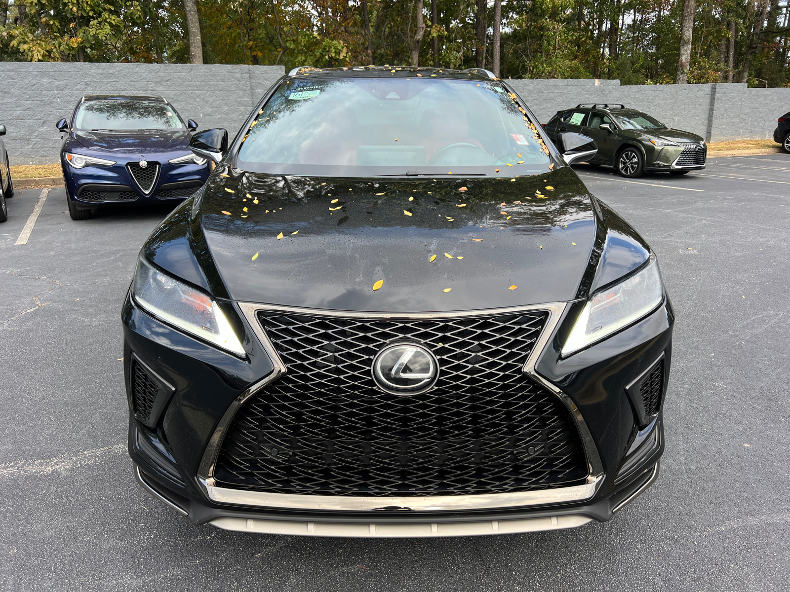 2021 Lexus RX RX 350 F SPORT Appearance 3