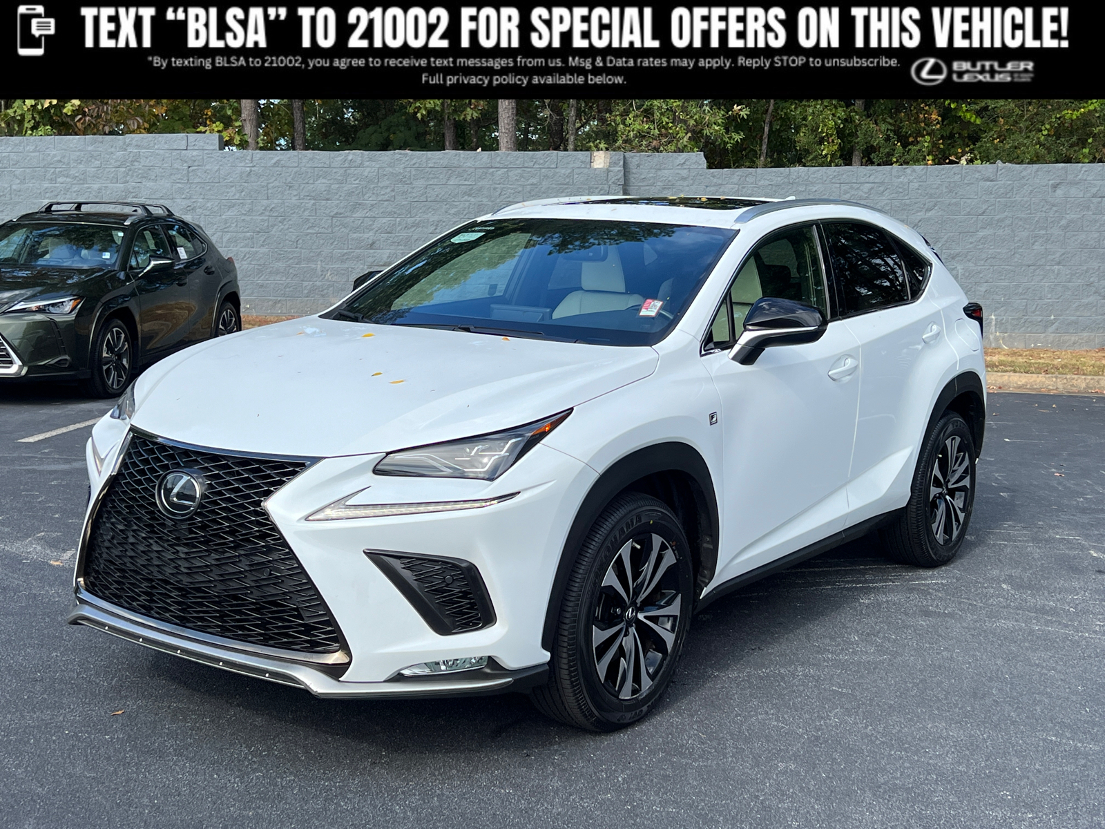 2021 Lexus NX NX 300 F SPORT 1