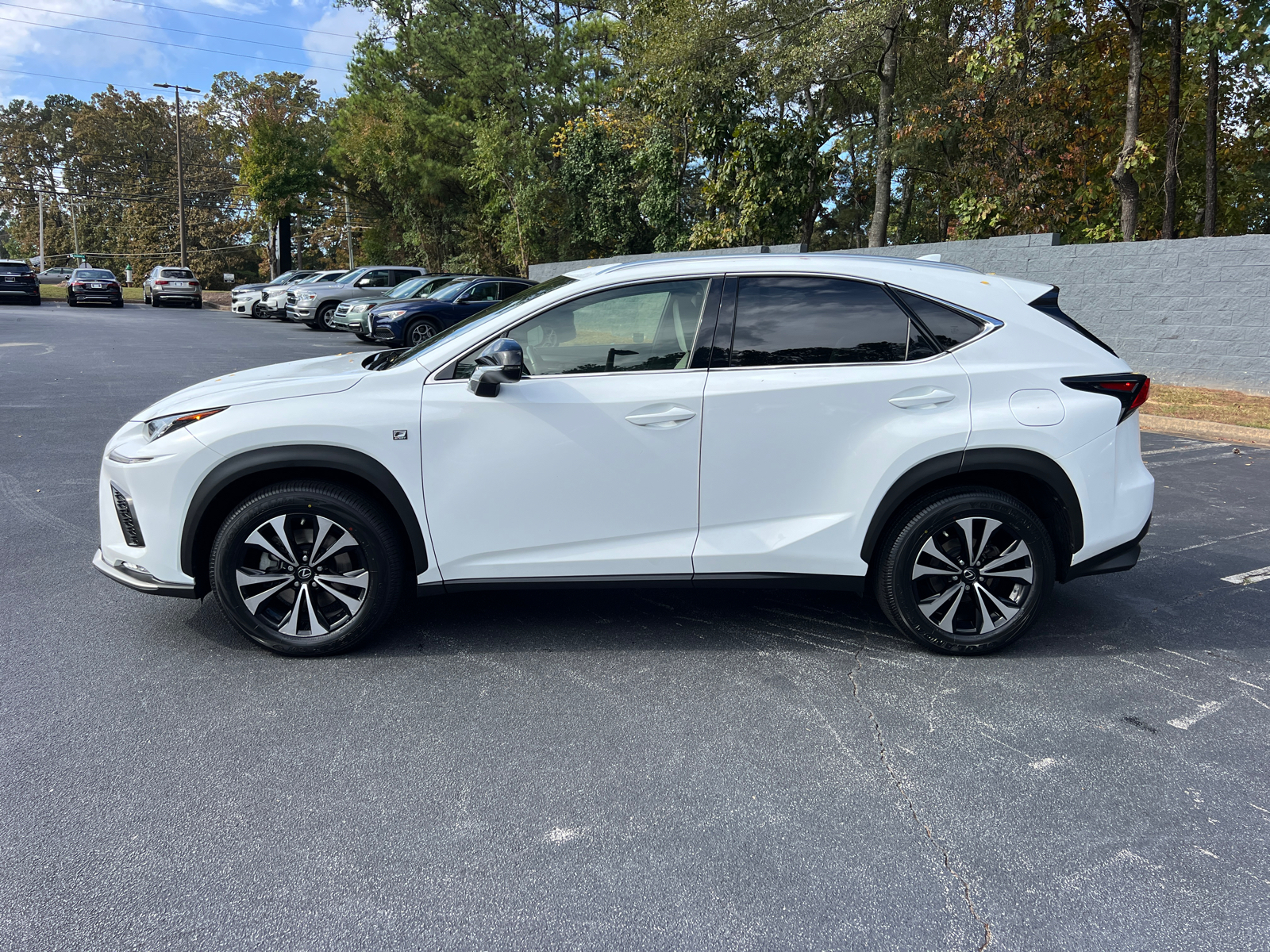 2021 Lexus NX NX 300 F SPORT 9