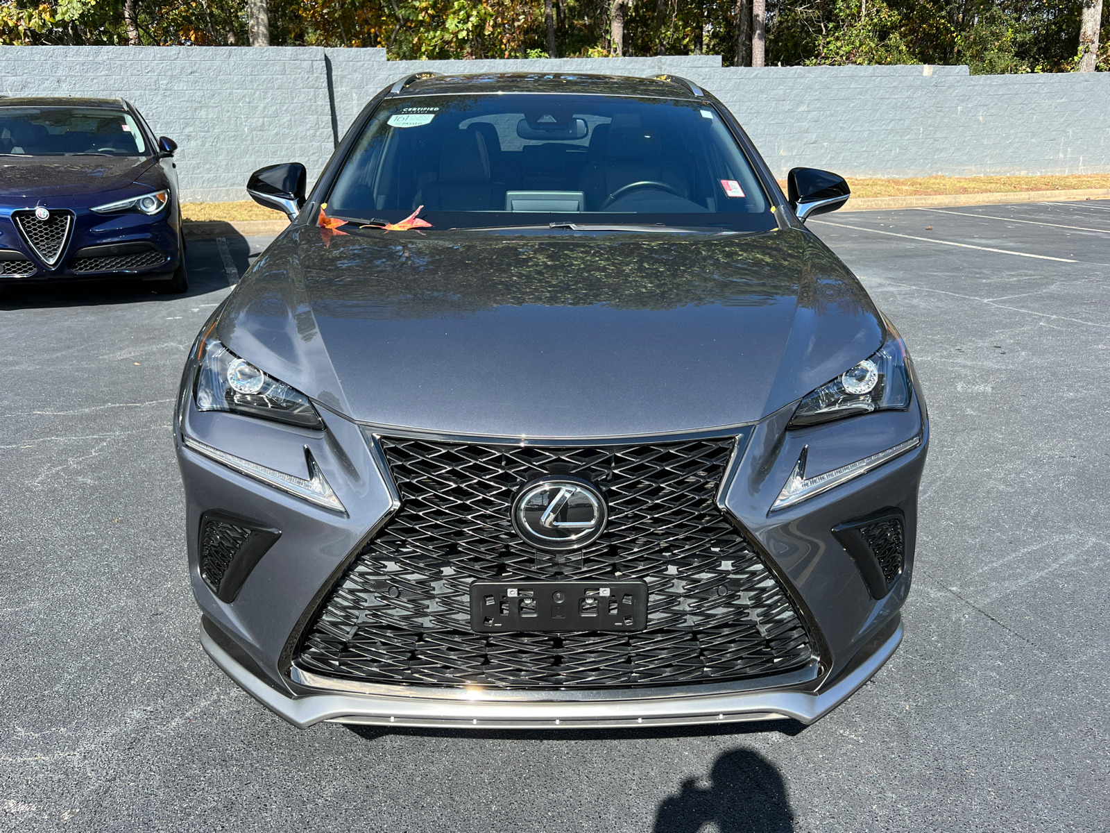 2021 Lexus NX NX 300 F SPORT 3