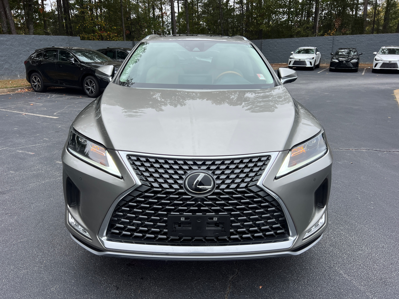 2022 Lexus RX RX 350 3