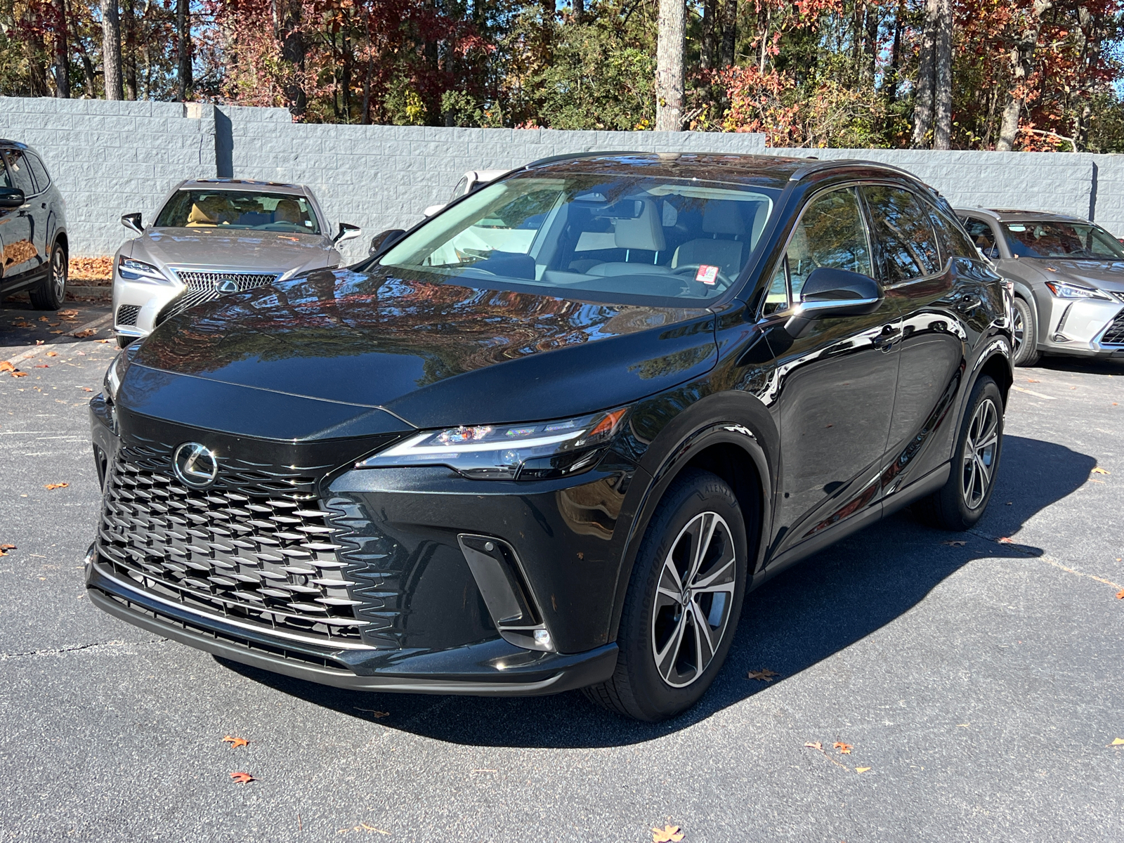 2024 Lexus RX RX 350 Premium 2