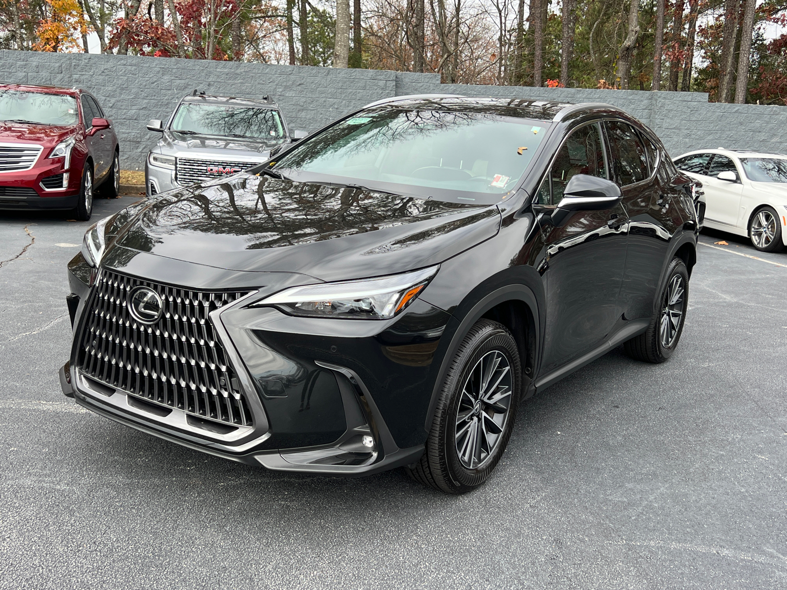 2024 Lexus NX NX 250 Premium 2