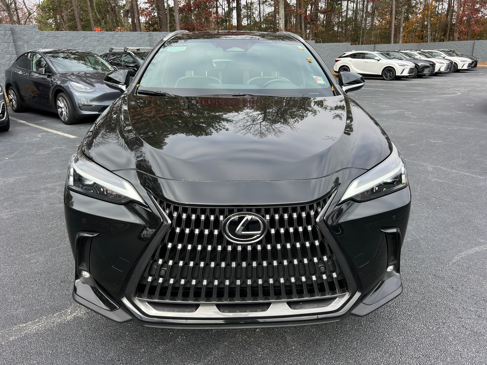 2024 Lexus NX NX 250 Premium 3