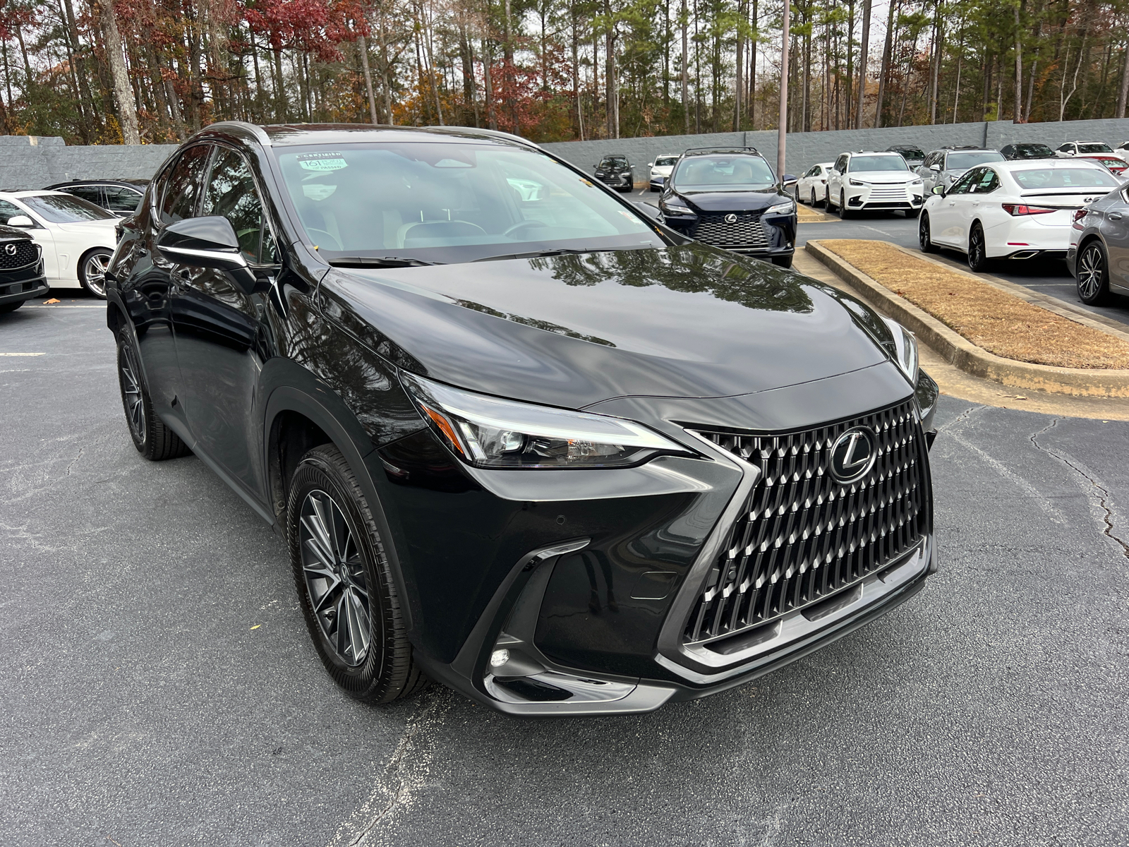 2024 Lexus NX NX 250 Premium 4