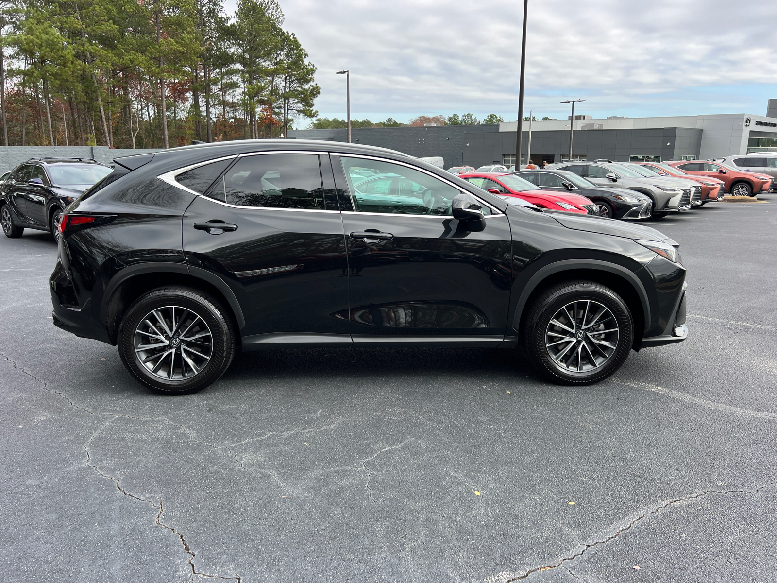 2024 Lexus NX NX 250 Premium 5