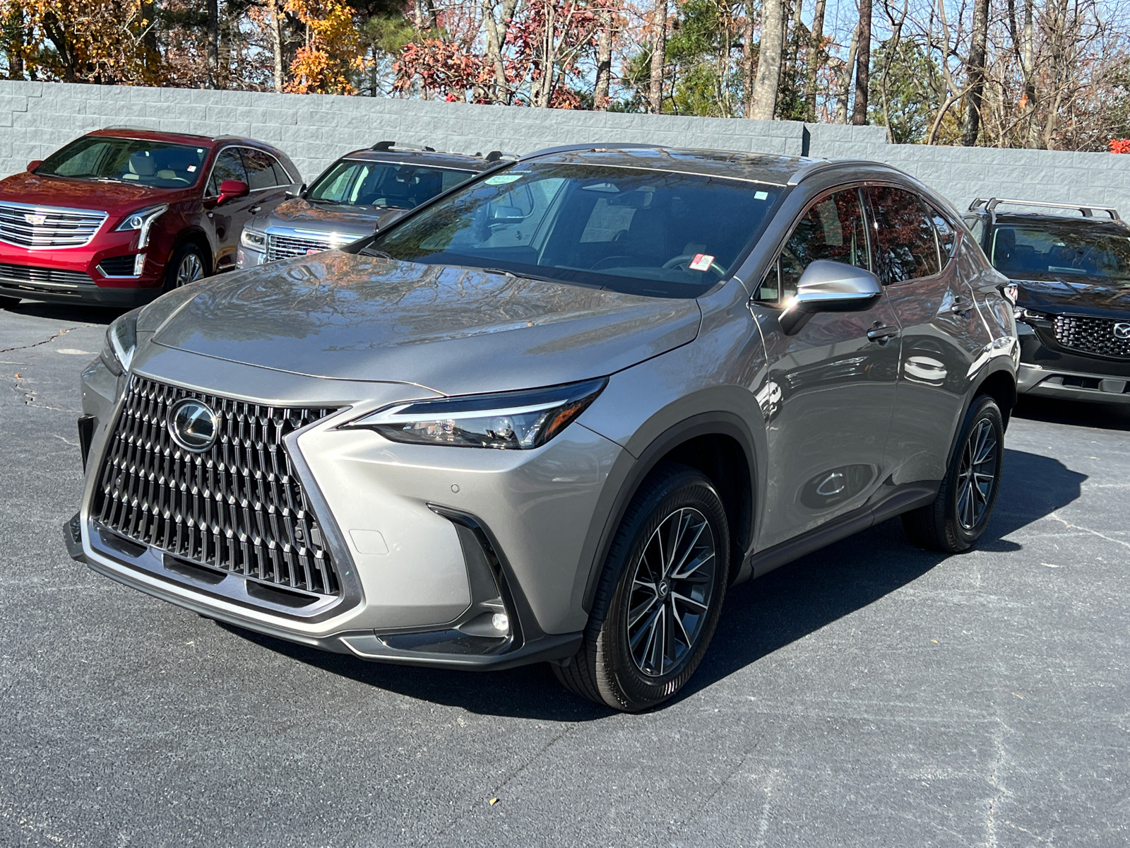 2024 Lexus NX NX 250 Premium 2