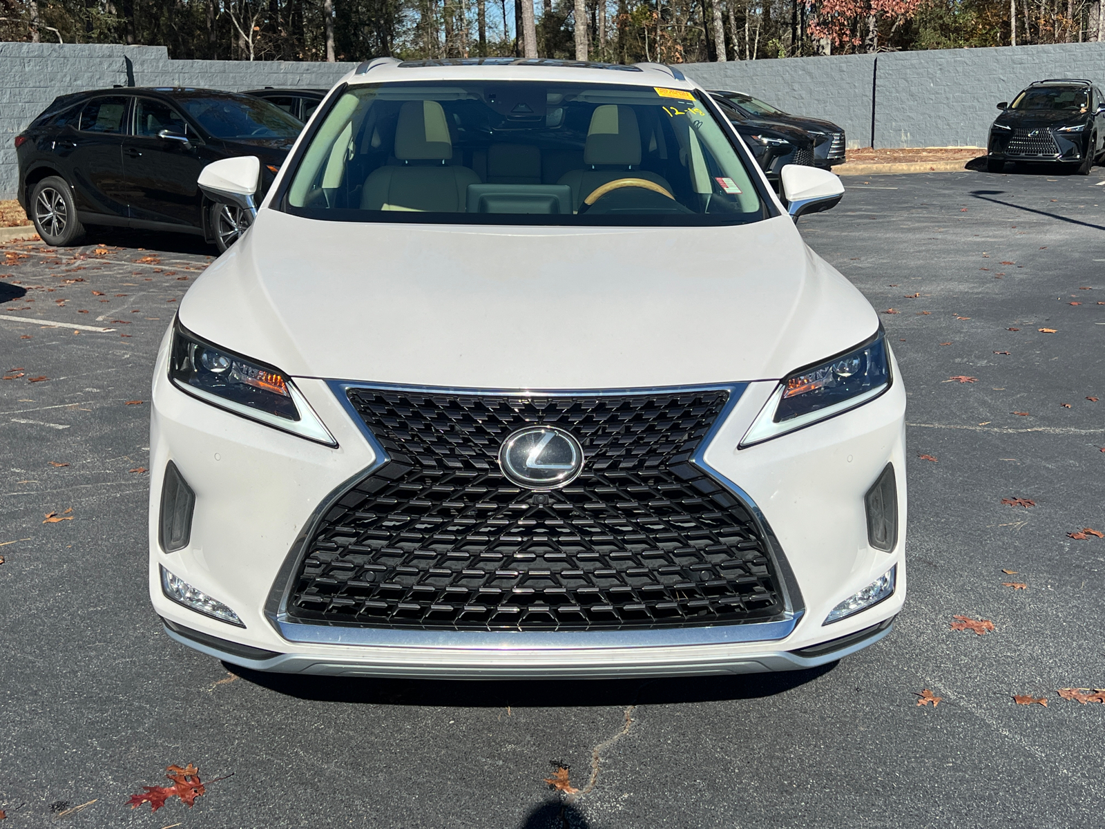 2022 Lexus RX RX 350L 3