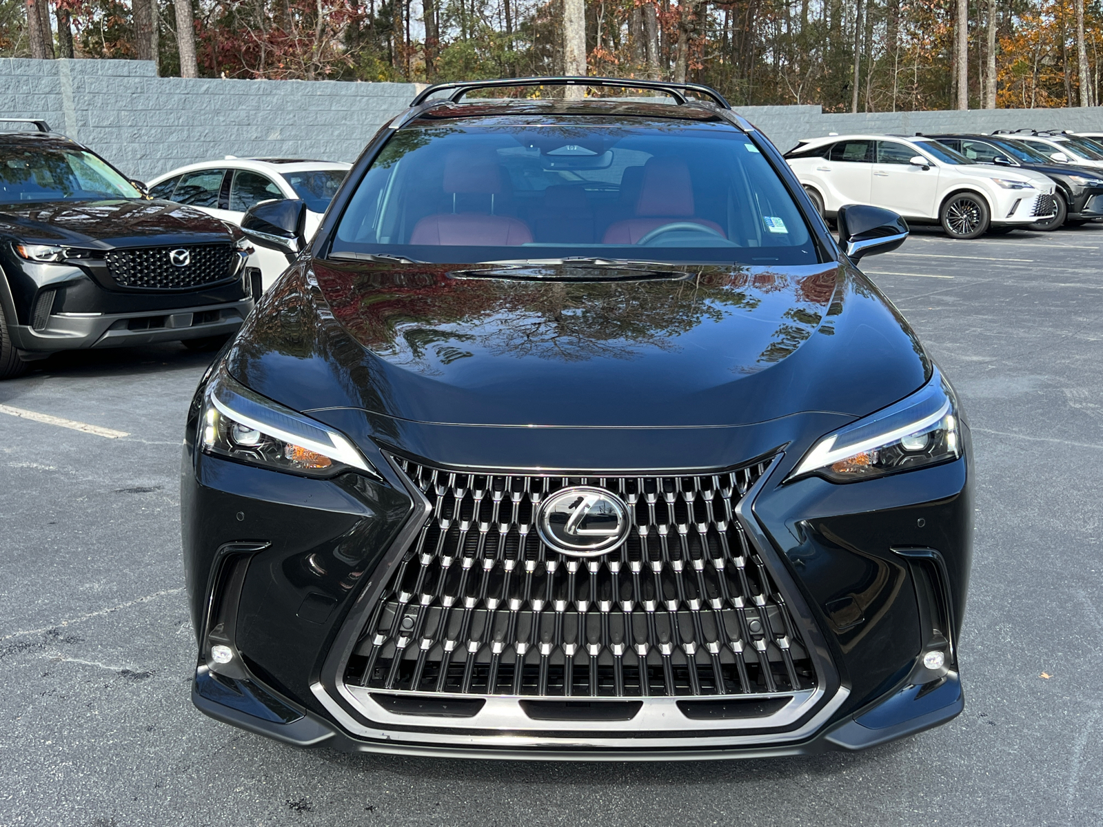 2025 Lexus NX NX 250 3