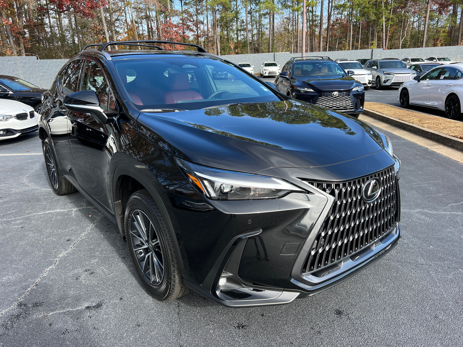 2025 Lexus NX NX 250 4