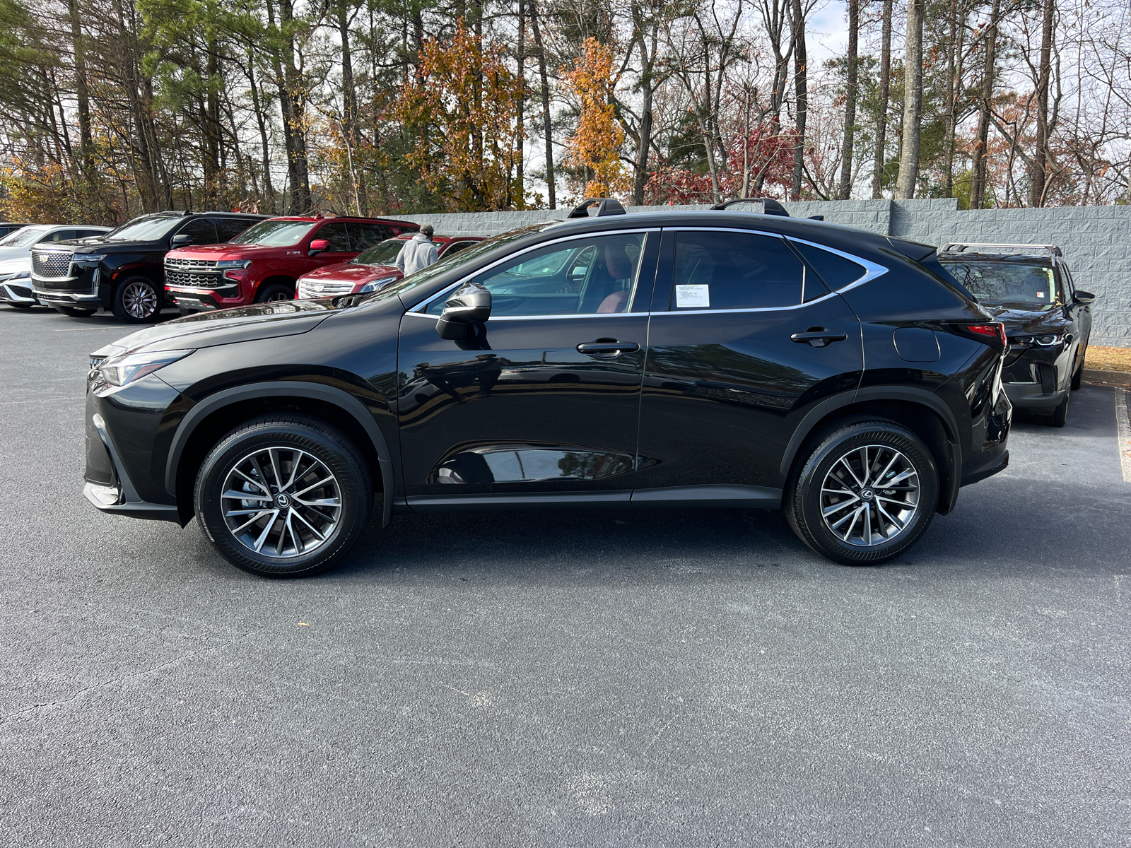 2025 Lexus NX NX 250 9