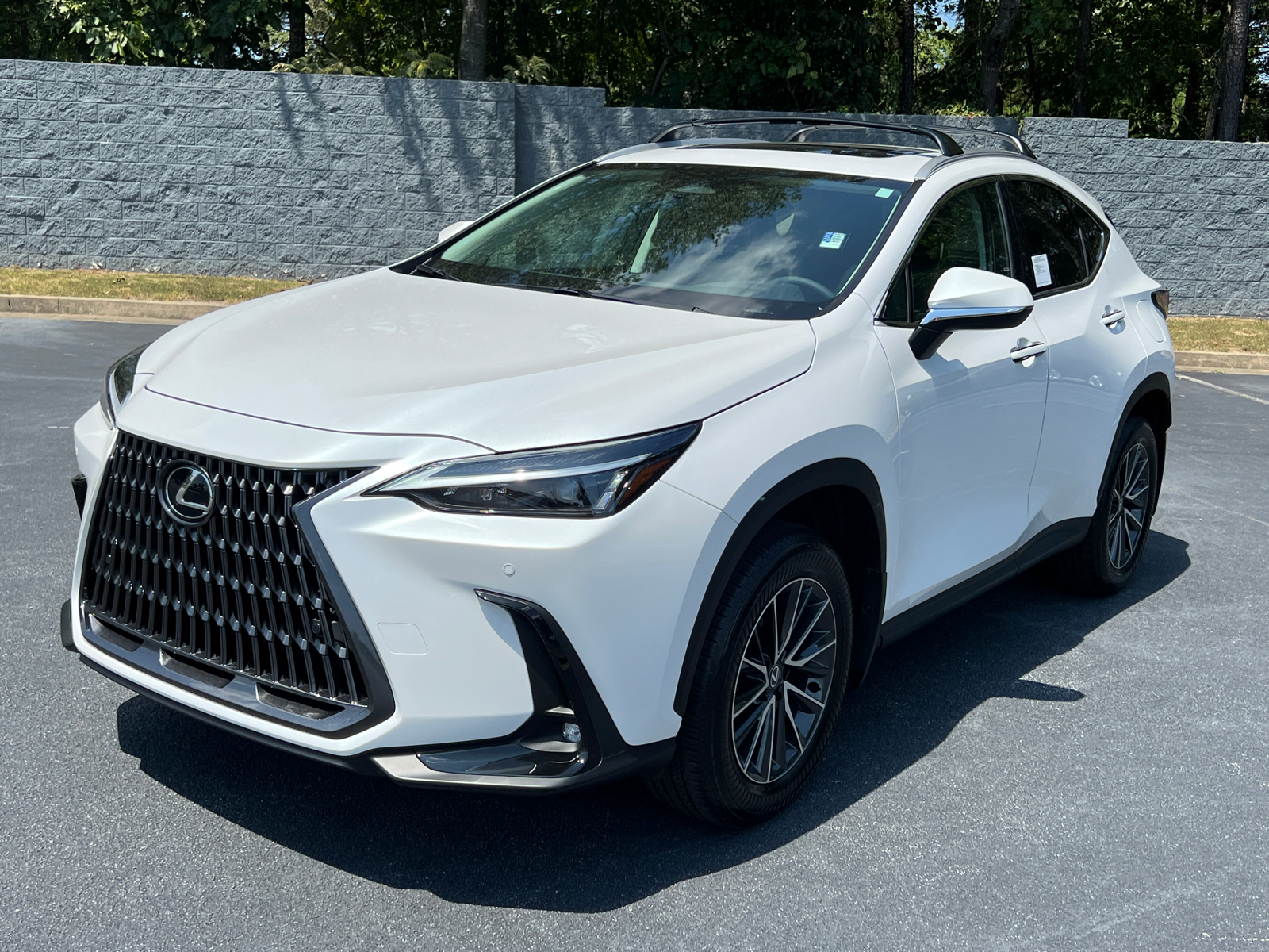 2025 Lexus NX NX 250 2