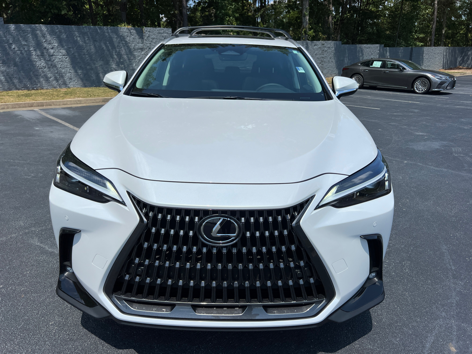 2025 Lexus NX NX 250 3