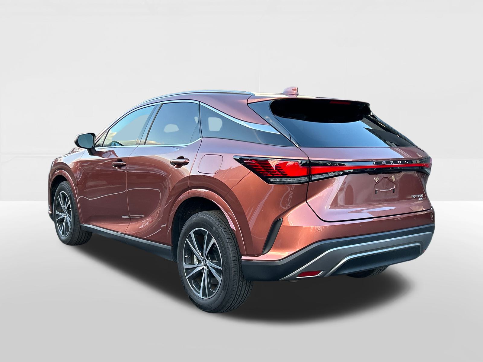 2024 Lexus RX  2